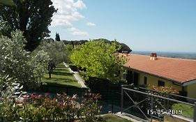 Agriturismo La Vite E Gli Ulivi Ariccia