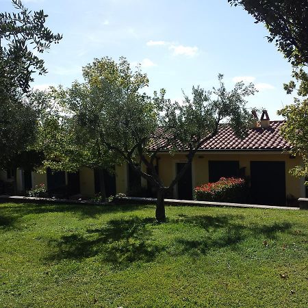 Agriturismo La Vite e gli Ulivi Villa Ariccia Esterno foto