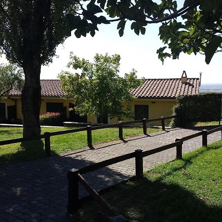 Agriturismo La Vite e gli Ulivi Villa Ariccia Esterno foto