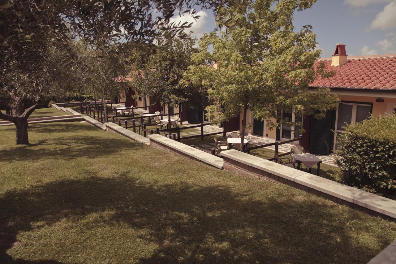 Agriturismo La Vite e gli Ulivi Villa Ariccia Esterno foto