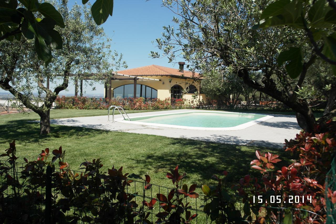 Agriturismo La Vite e gli Ulivi Villa Ariccia Esterno foto