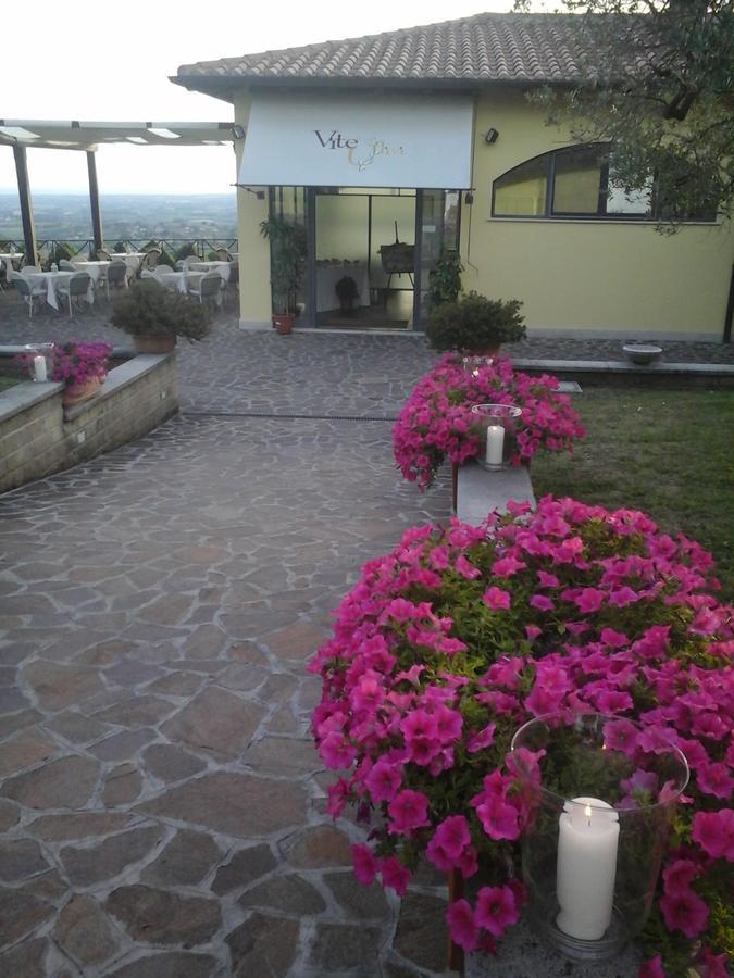 Agriturismo La Vite e gli Ulivi Villa Ariccia Esterno foto