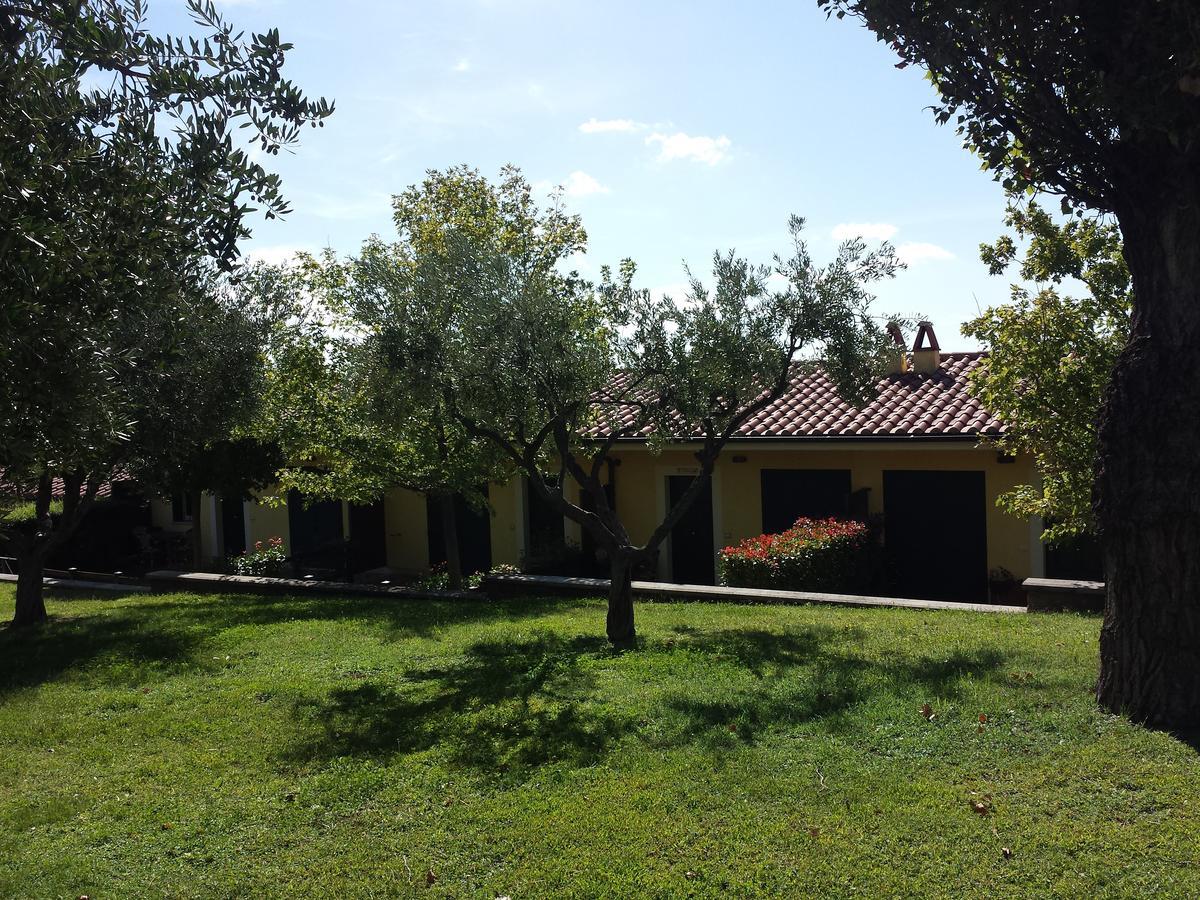 Agriturismo La Vite e gli Ulivi Villa Ariccia Esterno foto