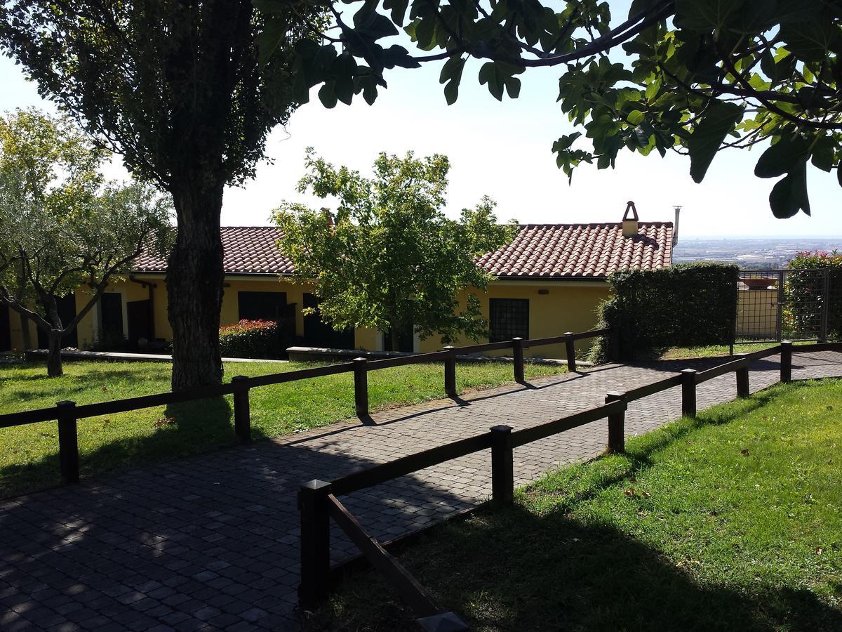 Agriturismo La Vite e gli Ulivi Villa Ariccia Esterno foto